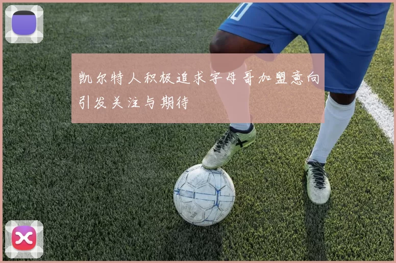凯尔特人积极追求字母哥加盟意向引发关注与期待