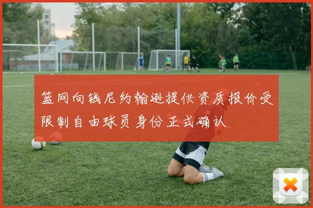 篮网向钱尼约翰逊提供资质报价受限制自由球员身份正式确认